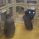 Illustration for article titled Chimps Are Better at Strategic Reasoning Than Humans Are